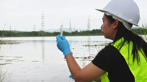 Environmental engineers analyze water quality and creature from natural source. Video stock 276954131