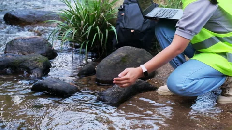 Environmental engineers uses laptop to inspect water quality at natural water. Видео 172388200