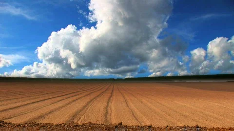 Environmental field time-lapse Stock Footage
