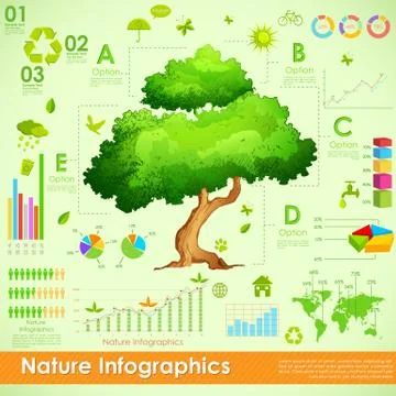 Environmental Infographic Stock Illustration