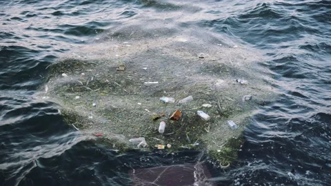 Environmental Issue, plastic pollution in the Ocean Stock Footage 159412359