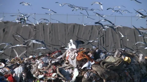 ENVIRONMENTAL LANDFILL GARBAGE DUMP AND RECYCLING  HD  1080 1920X1080 2 Stock Footage 33420782