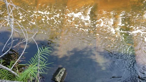 Environmental landmark Stock Footage 145316160
