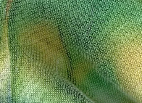 Environmental Stock Photos