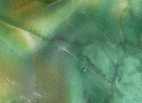 Environmental Stock Photos