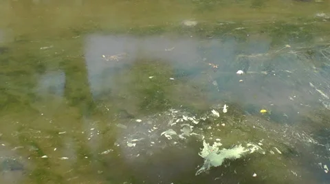 Environmental Pollution 2 Stock Footage 37013219
