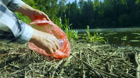 Environmental Pollution And Cleanup, nature conservation, plastic waste Vidéo 335762268