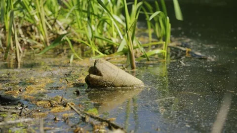 Environmental Pollution And Climate Change Concept, Environmental pollution Vidéo 335693428