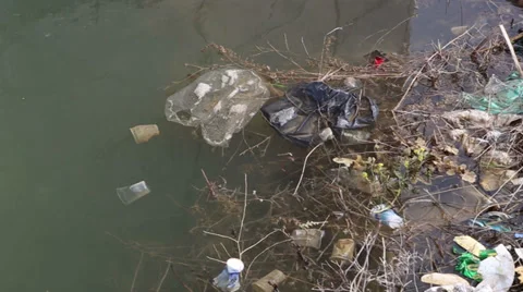 Environmental pollution in dam 2 Stock Footage 37231728