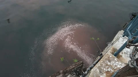 Environmental pollution. Dumping dirty water into sea at port Vídeo Stock 155460860