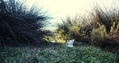 Environmental Pollution Ecological Problem Concept 動画素材 142662551