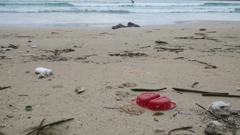 Environmental pollution. Ecological problem. Garbages, plastic, and wastes on Stock Footage 132801881