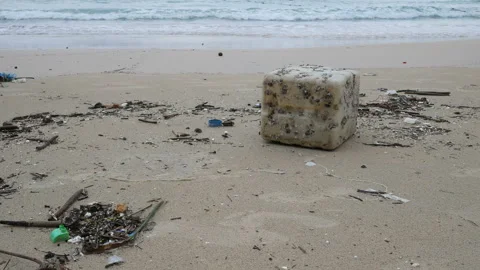 Environmental pollution. Ecological problem. Garbages, plastic, and wastes on Stock Footage 132802547