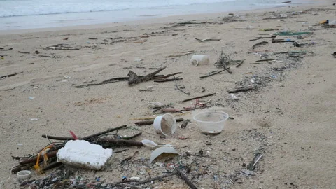 Environmental pollution. Ecological problem. Garbages, plastic, and wastes on Stock Footage 132802763