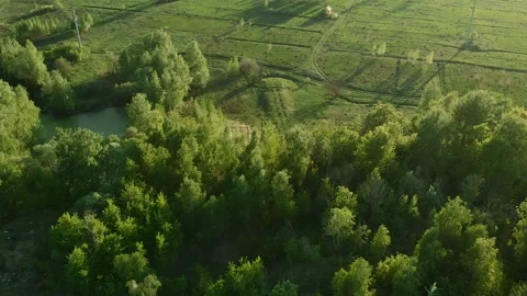 Environmental pollution. Ecological problem. In the vicinity of the food and Stock Footage 107852512