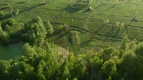 Environmental pollution. Ecological problem. In the vicinity of the food and Stock Footage 107861003