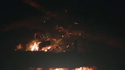 Environmental pollution. Ecology. A man throws plastic bottles and trash into a Stock Footage 79823948