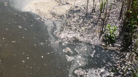 Environmental pollution of the environment Stock Footage 89975233