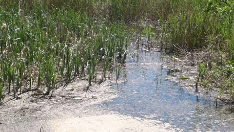 Environmental pollution of the environment Stock Footage 90232831