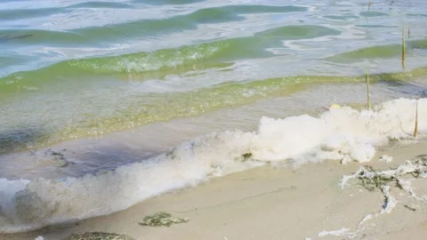 Environmental pollution, environmental problems. Garbage on the beach. Stock Footage 144878380