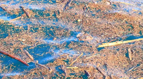 Environmental pollution Stock Footage 37229473