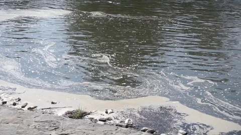 Environmental pollution. Stock Footage 95427445