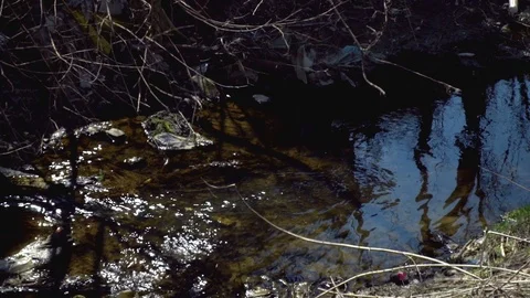 Environmental pollution Stock Footage 105114063