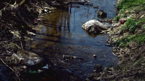 Environmental pollution Stock Footage 105126596