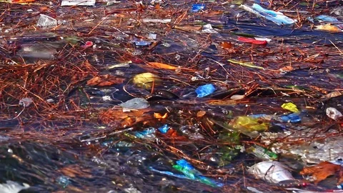 Environmental Pollution Stock Footage 117633906