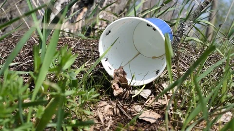 Environmental pollution Stock Footage 121270377