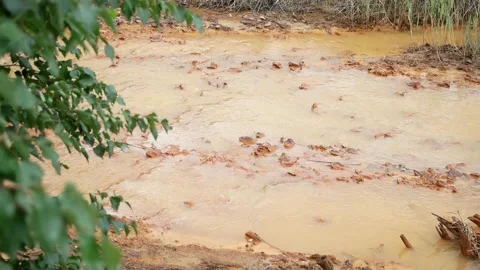 Environmental pollution. Stock Footage 136031629