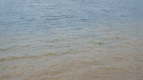 Environmental pollution. Vidéo 136031939