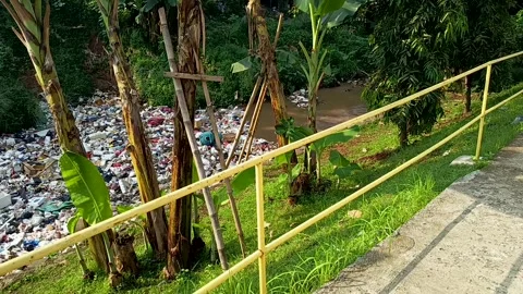 Environmental pollution Stock Footage 309872541