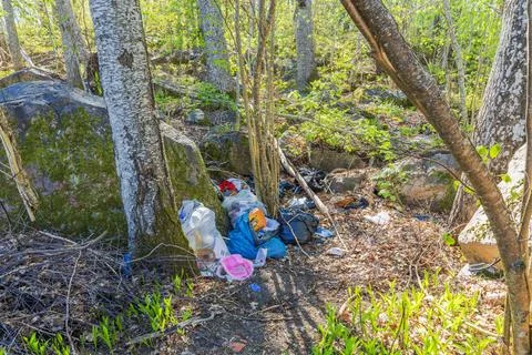 Environmental pollution in forest with garbage bags and plastic waste scattered Stock Photos
