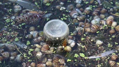 Environmental pollution, garbage and plastic Stock Footage 129090335