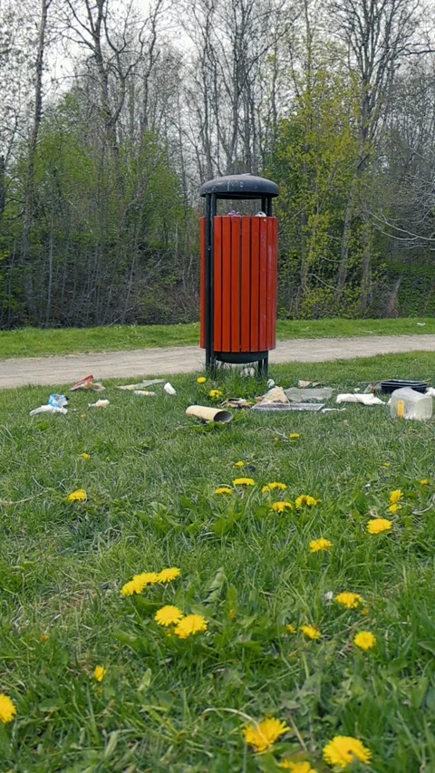 Environmental Pollution with Garbage Around a Trash Can in a Park Stock Footage 336652528