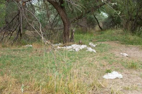 Environmental pollution, garbage left in nature. Stock Photos