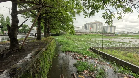 Environmental Pollution Garbage in Rice Fields and Roadside Gardens Stock Footage 304654482