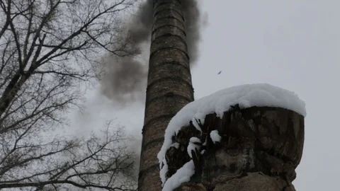 Environmental pollution by hydrocarbons. Stock Footage 71620646