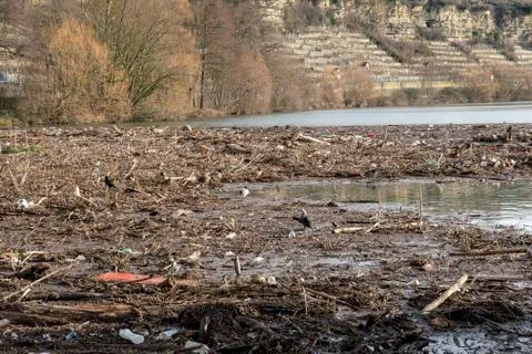 Environmental pollution at a lock on the Neckar river a lot of wood and plast Stock Photos
