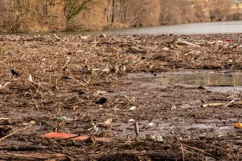 Environmental pollution at a lock on the Neckar river a lot of wood and plast Stock Photos