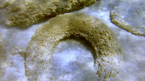 Environmental pollution in ocean. Old tires dumped in the Mediterranean Sea. Video stock 229475429