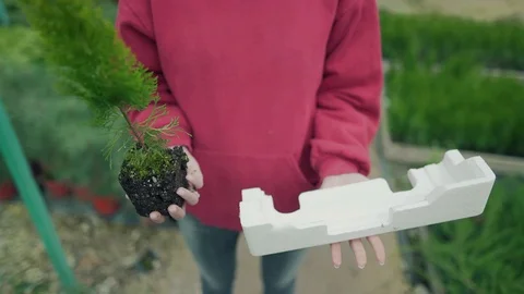 Environmental pollution or environmental concern. The choice is plant or plastic Stock Footage 118050047