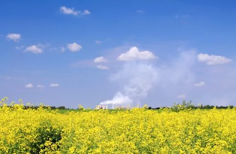 Environmental pollution Stock Photos