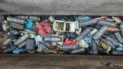 Environmental Pollution Foto stock