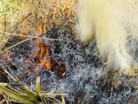 Environmental pollution Fotos de archivo