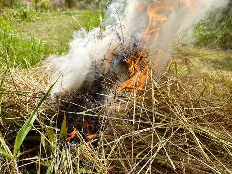 Environmental pollution Fotos de archivo