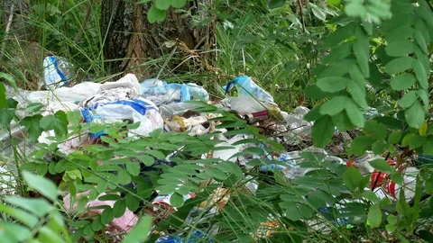 Environmental pollution. Plastic bags, bottles, trash in forest. waste in nature Stock Footage 112128975