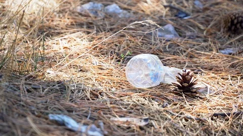 Environmental pollution, plastic bottle and wastes in pine forest. Vídeos de archivo 99699610
