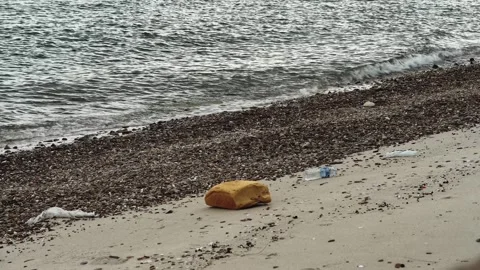 Environmental pollution with plastic bottles and waste scattered on sandy beach  Video stock 317883036